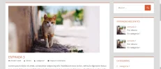 lateral.webp