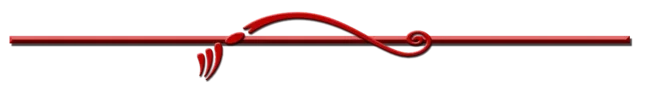 LineSeparator.webp LineSeparator.webp
