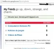 feed 02.webp