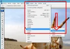 paso002.webp