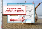 paso005.webp paso005.webp