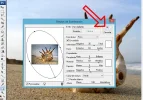 paso008.webp