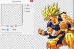 5.webp