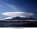 21.webp