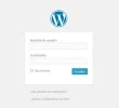 1.webp 1.webp