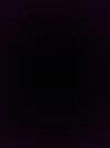 15881140075741951797250.webp