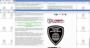 5.webp