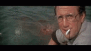 2F8.gif