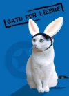 Gato_por_liebre.webp Gato_por_liebre.webp