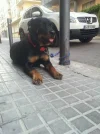 uploadfromtaptalk1404728242935.webp