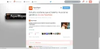 Efecto.webp Efecto.webp