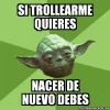 11638267.webp
