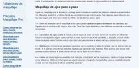 web mo 2.webp