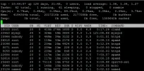 top.webp