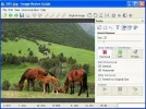 ImageResizeGuide-English-Big.webp