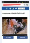 movil.webp