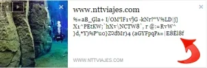 Fallo Face.webp