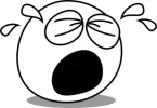 hh.webp