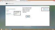 13.webp