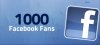 1000-facebook-fans.jpg