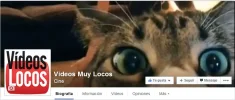 Capturavideos locos.webp Capturavideos locos.webp