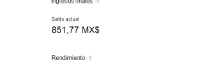 saldoactual.webp