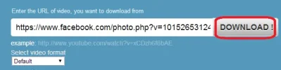 7.webp