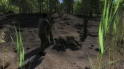2014-08-07 1322 - LoggerÂ´s Point - Cerdo salvaje (33.0).webp
