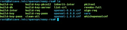 hc6VX07.webp hc6VX07.webp