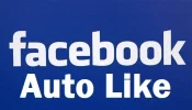 fb.webp fb.webp