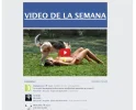 Captura de pantalla (24).webp