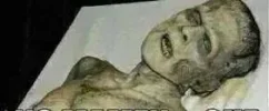4313d6c6e19b566d053841890453aa79.webp