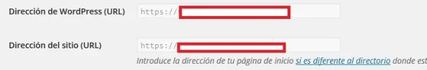 6.webp