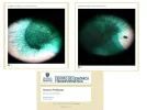 MUESTRAPREFIJADA.webp