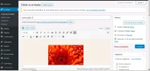 Captura.webp
