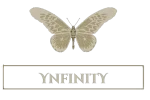 Ynfinity-1.webp