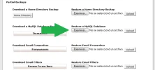 4.webp 4.webp