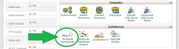 12.webp