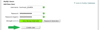 13.webp