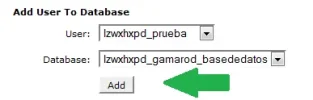 15.webp