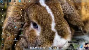 Screenshot_2.webp