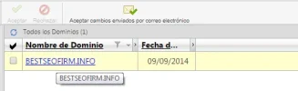 dominio.webp