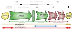 gtld-lifecycle-700x286.webp gtld-lifecycle-700x286.webp