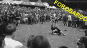 E0D.gif E0D.gif