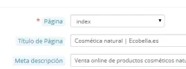 seo.webp