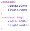 tamaño foto.webp