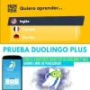 3.webp