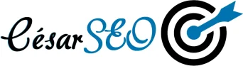 seo 2.webp