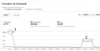 webmaster.webp