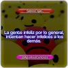 10675710_1484530488500636_5005646844712262337_n.webp